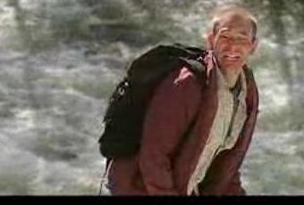 paysagiste timberland