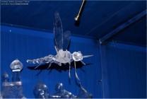 sculpture glace insecte