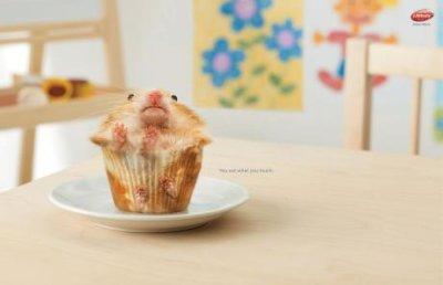 JEUD’ART et D’HUMOUR : Vernissage…