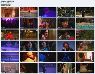 Wild tigers i have known (usa - 2006)