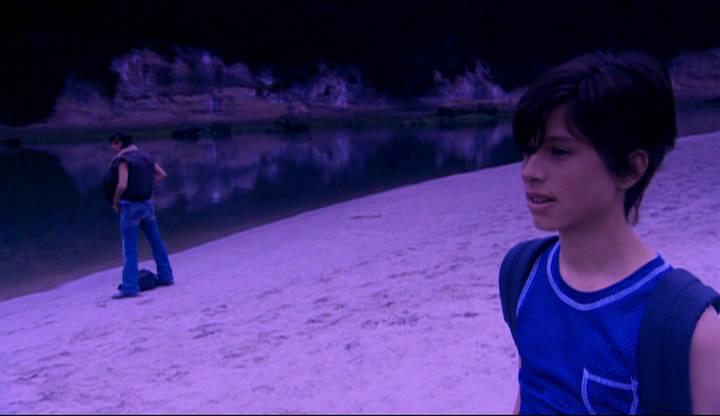 [wild+tigers-09.jpg]