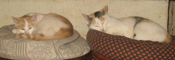 Siffler en travaillant !...