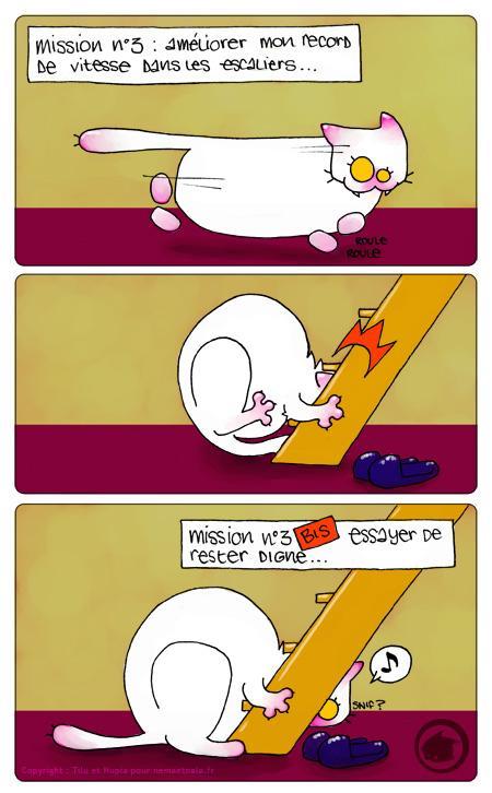 Attention à la marche !, Octobre 2008 Attention à la marche !