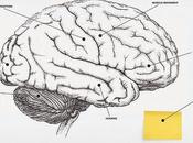 jour Faites rire lecteurs