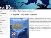 Rêve bleu caledonie