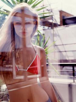 Réincarnée en yucca...