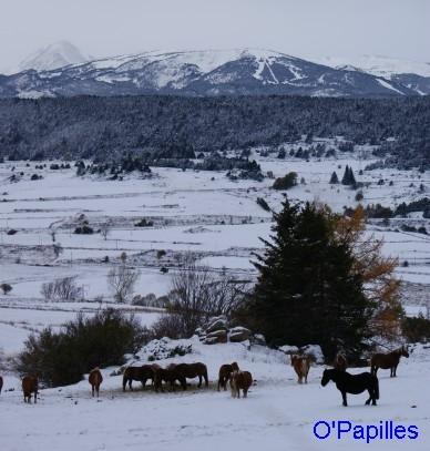 hiver-pyrenees-premiere-neige01.jpg