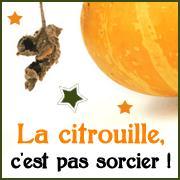 Capuccino de potimarron, chantilly au fromage de chèvre et faux gressin aux amande