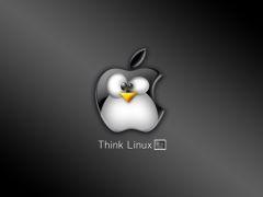 Think linux