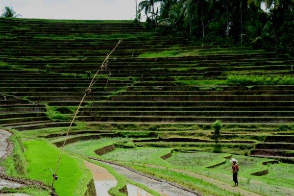 Hors des sentiers battus