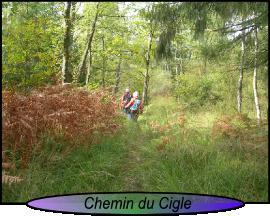 Plateau des Mille Etangs : la tourbière du Cigle