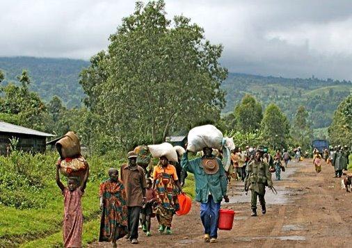 Le Kivu, une guerre trop souvent oubliée