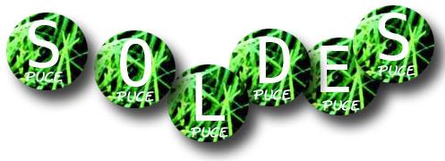 Soldes été 2008 chez PUCE