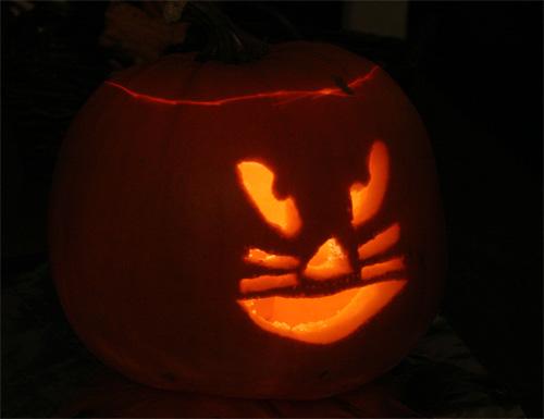 citrouille halloween