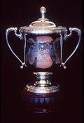 Blog de antoine-rugby :Renvoi aux 22, Les Blacks remportent une Bledisloe Cup sans relief