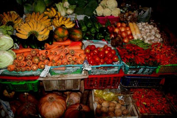 La falaise aux singes