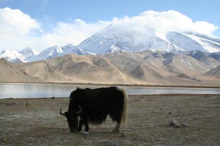 Le lac de Karakul