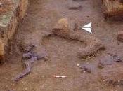 Chili: nouvelles fouilles Monte verde confirme présence l'homme depuis 14000