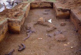 Chili: de nouvelles fouilles à Monte verde confirme la présence de l'homme depuis 14000 ans