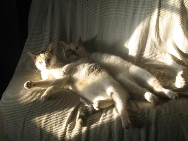 Que d'eau ? Que dalle !...