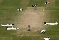 essaim et match de cricket