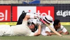 essaim et joueurs à terre