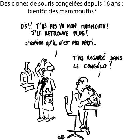 Des clones de souris congelées depuis 16 ans : bientôt des mammouths?