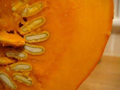 potiron (curcubitacé)