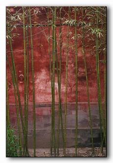 Le_vent_des_jours_292