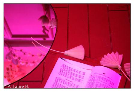 grd_noel_lafayette_079_copie