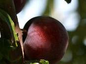 faut souffrir pour être mince