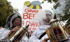 manifestation apiculteurs