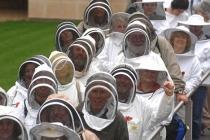manifestation apiculteurs londres