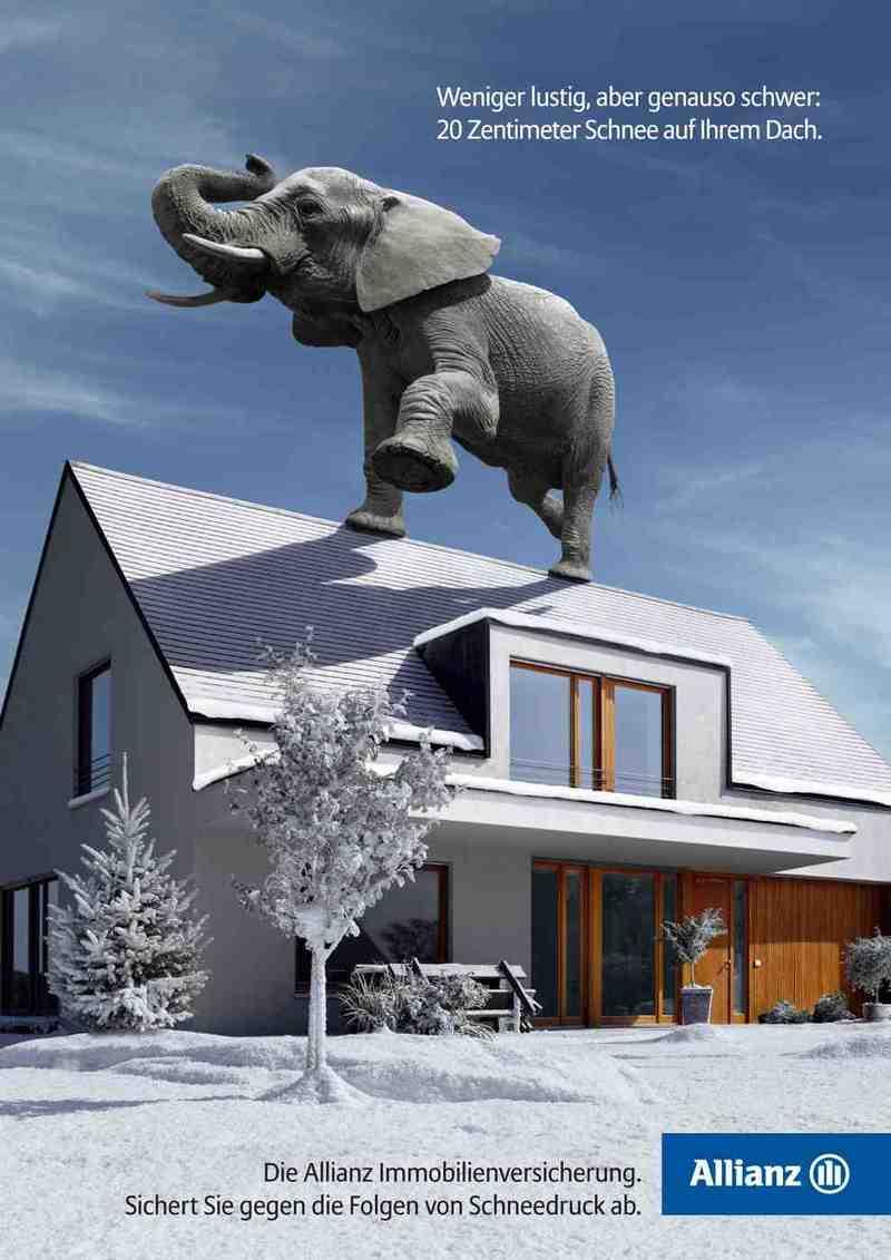 Allianzelephant