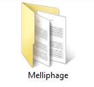 melliphage.jpg