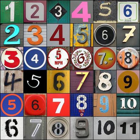  Notation des articles photo cheval