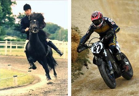 virage Jai trouvé la mobylette équestre ! photo cheval