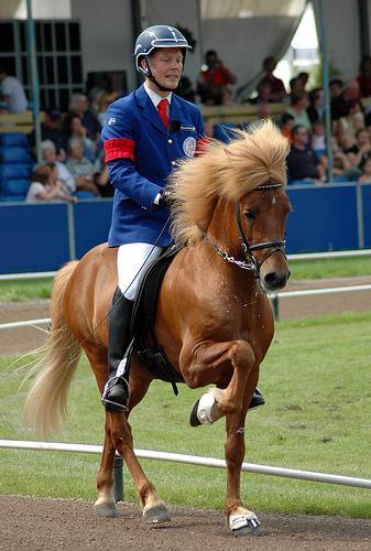 1439810890 f20e7d1c4a Monte islandaise: je suis convertie photo cheval