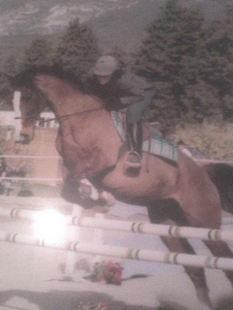 1d7dd27a5d84e4f15e7c8262fbd0f081 Petite phrase pour gros chagrin: John Steed entre la vie et la mort photo cheval