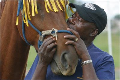 as Léquitation en afrique du sud photo cheval