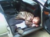 voilà sont vraiment capables dormir n'importe