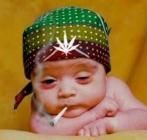 Des photomontages de bébés particulièrement réussis bébé rasta