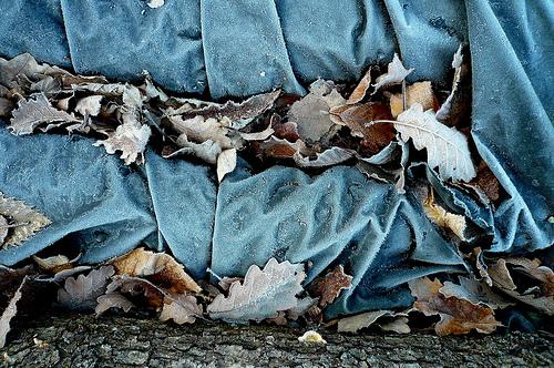  Les bâches....bleues photo cheval