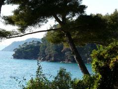 La Provence en novembre : des couleurs et des odeurs en toute quiétude