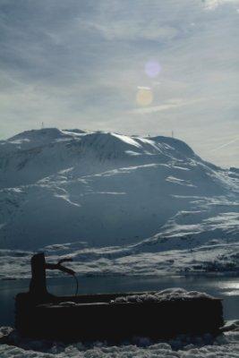 Ca y est !  Elle est arrivée...