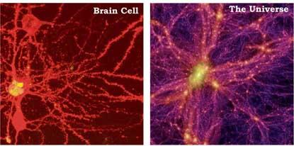 L’Univers et le cerveau