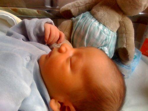 Alexandre, 100% pur vox, à 50% princesse101 et 50% estebadia