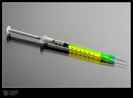  Leuthanasie: parce que lon peut tous y être un jour confronté... photo cheval