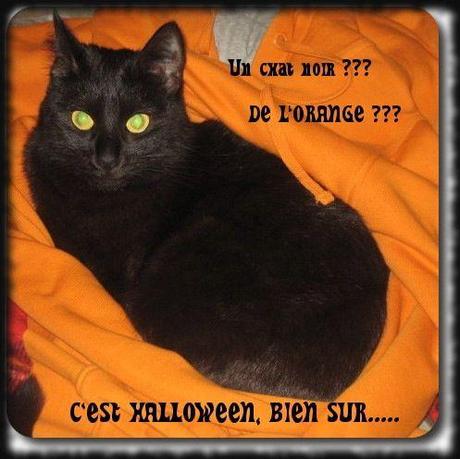Le concours d’Halloween - les votes