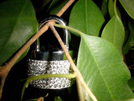 clé usb active crystals philips swarovski